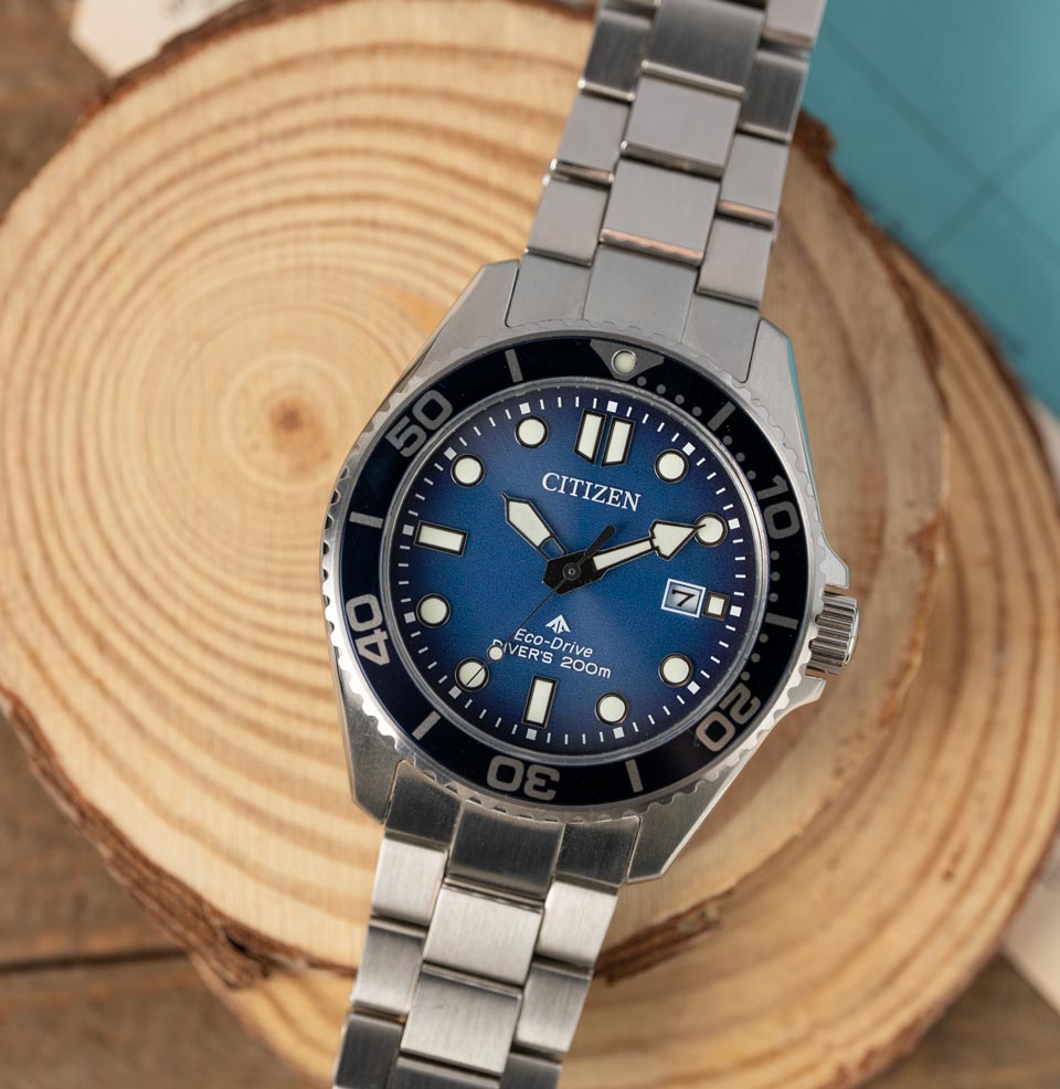 Citizen Promaster Dive Eco-Drive 41mm Watch – Windup Watch Shop