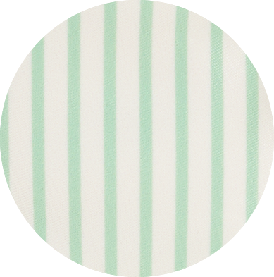 Mickey & Friends Stripe