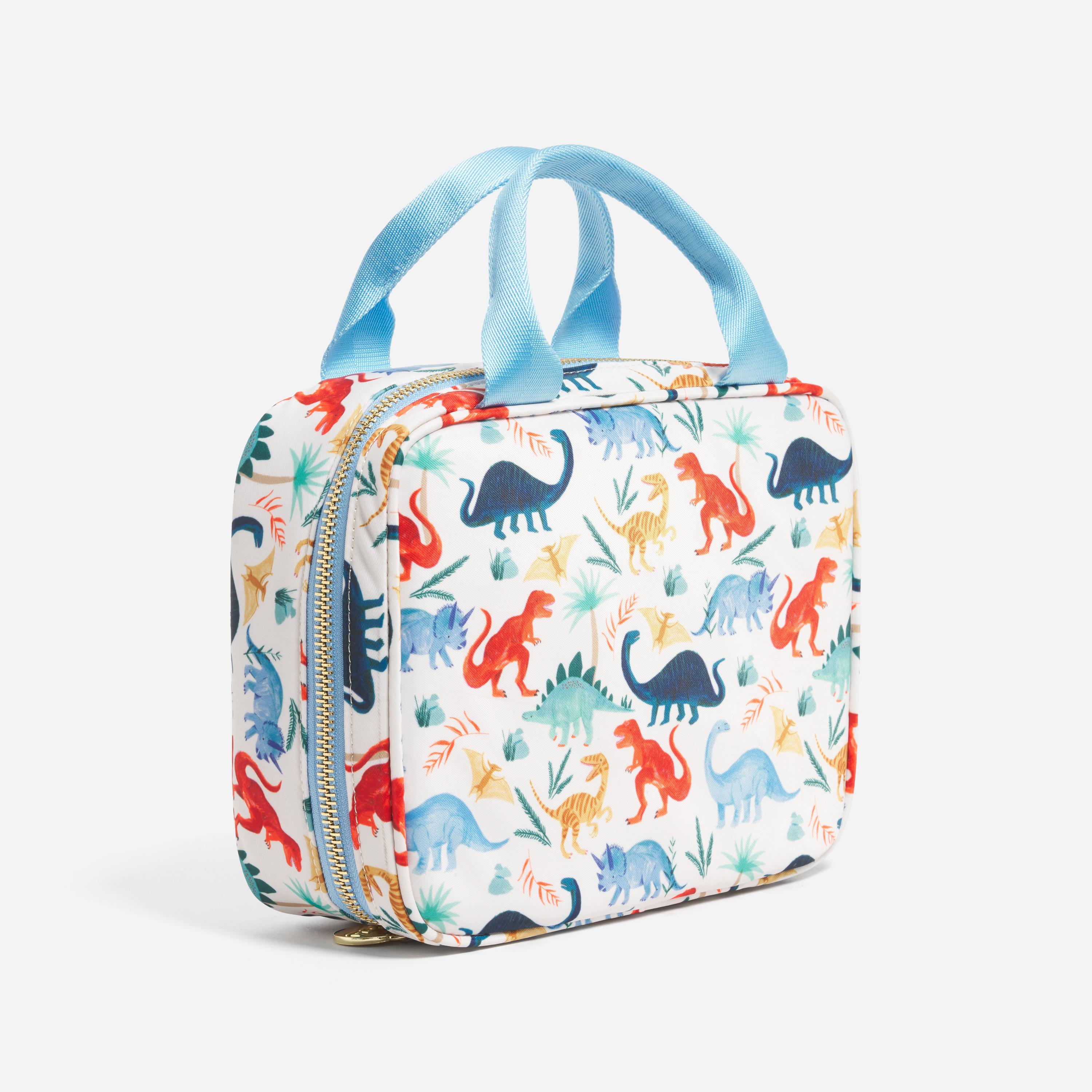 Lunch Tote