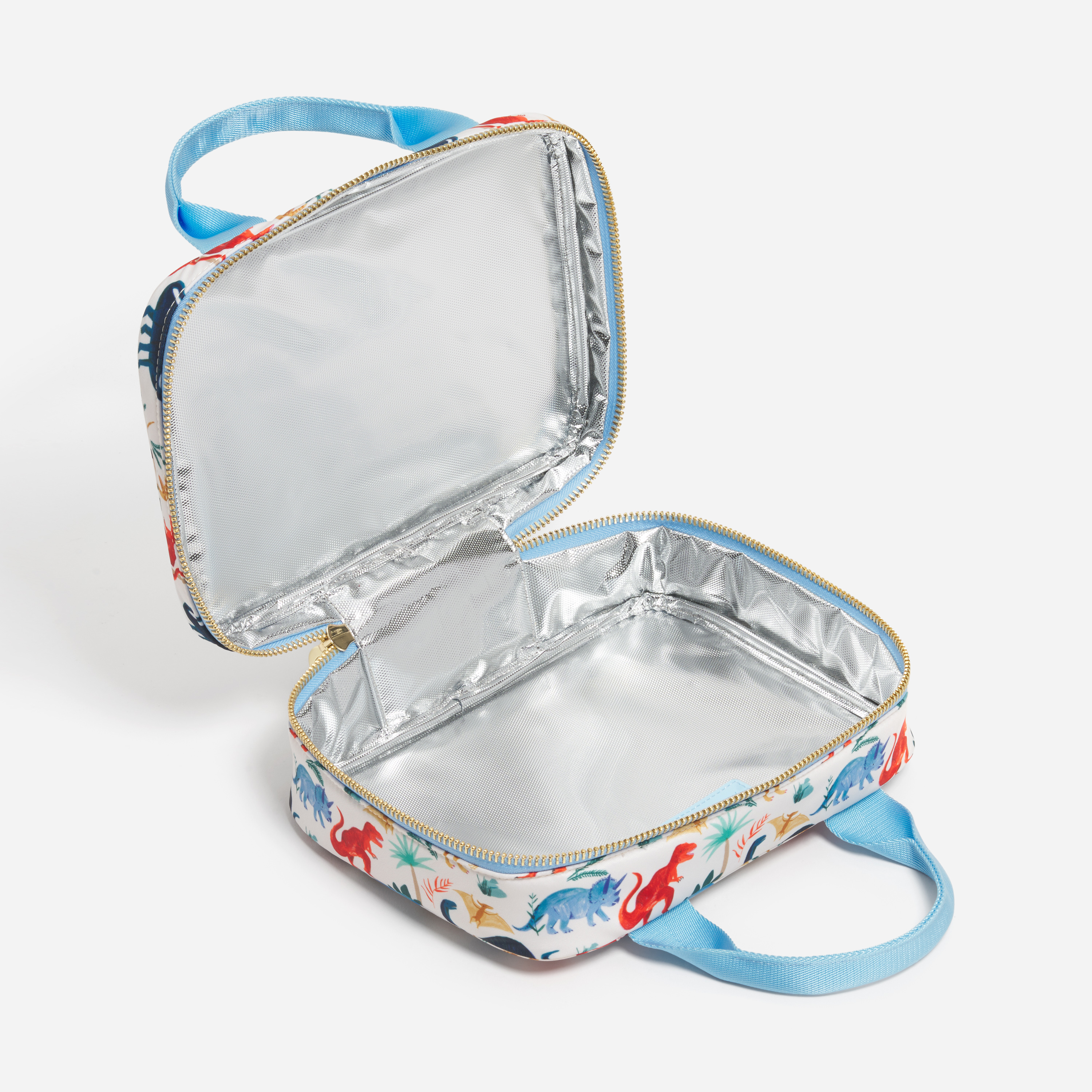 Lunch Tote