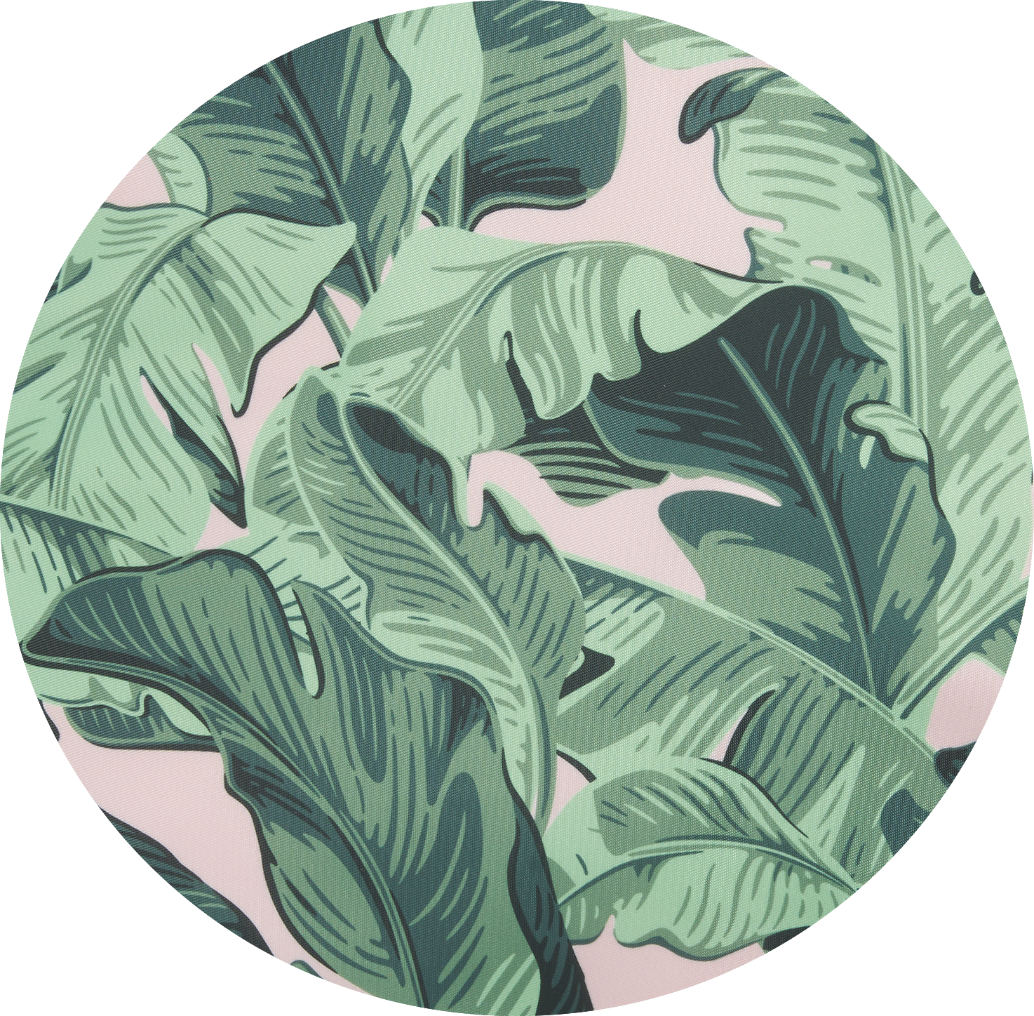 Banana Leaf
