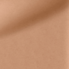 shade texture of 17C
