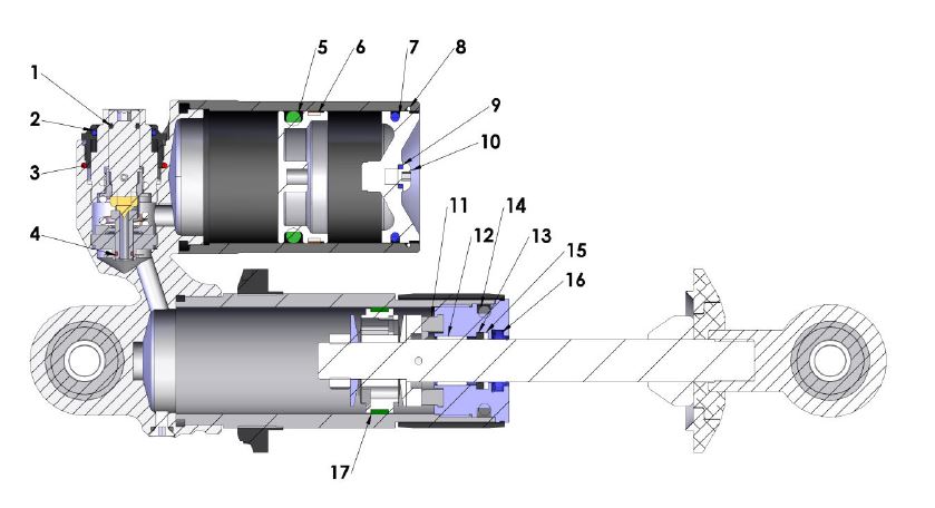 SHOCK INTERNAL