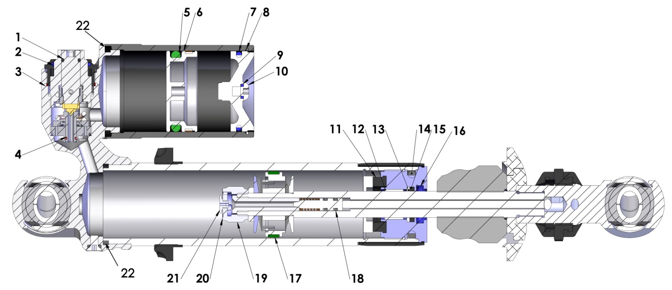 SHOCK INTERNAL
