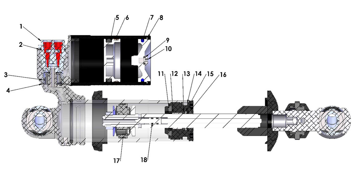 SHOCK INTERNAL