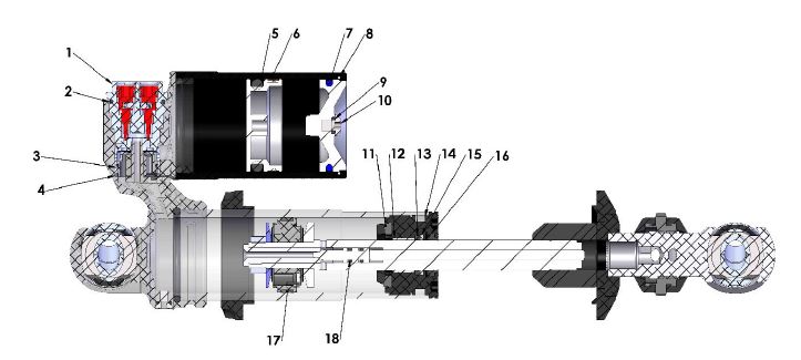SHOCK INTERNAL