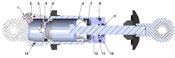 SHOCK INTERNAL