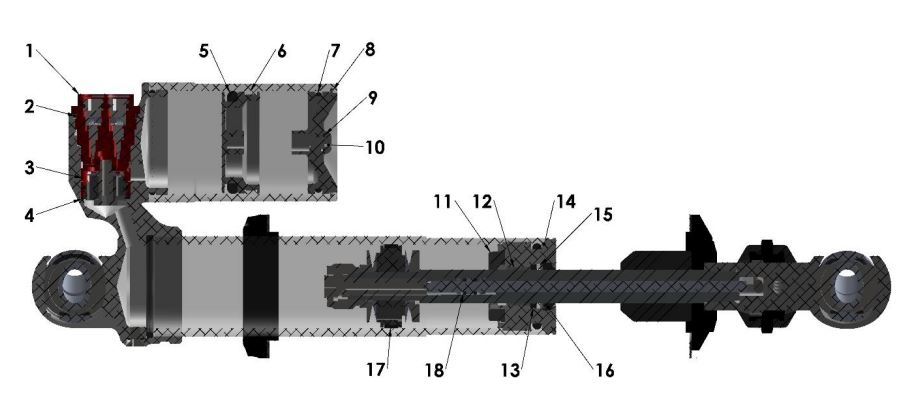 SHOCK INTERNAL
