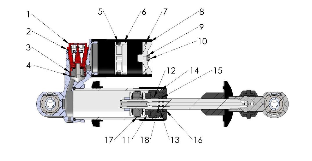 SHOCK INTERNAL