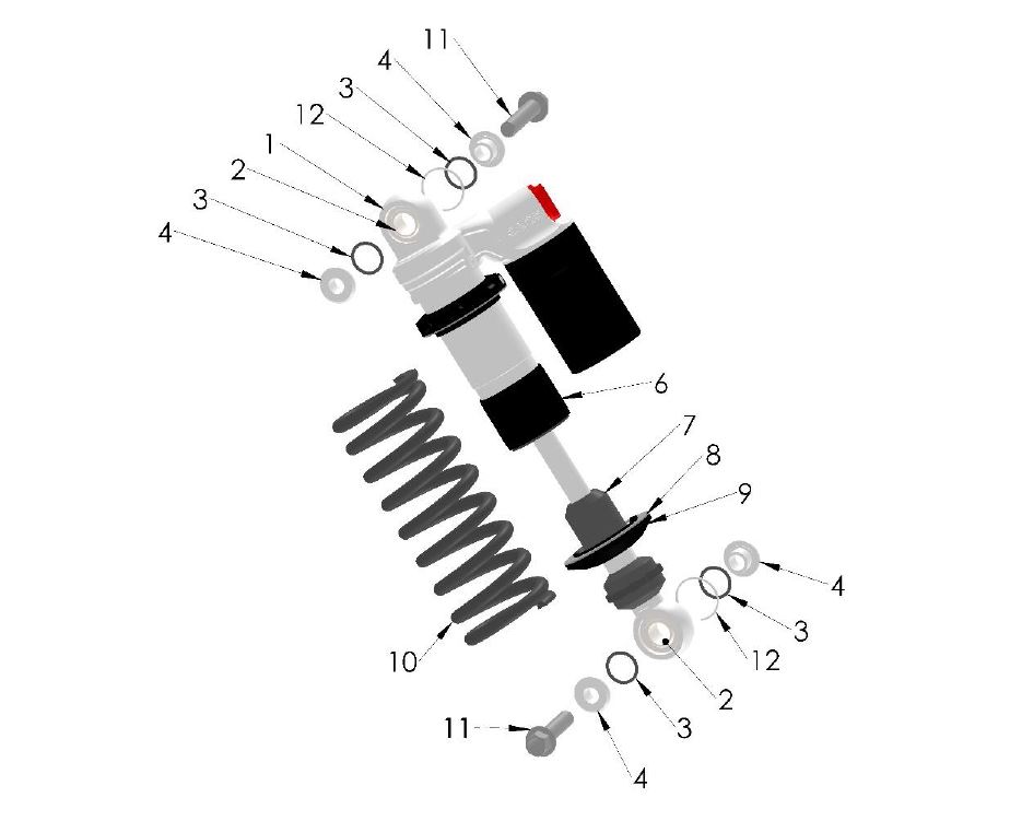 SHOCK EXTERNAL