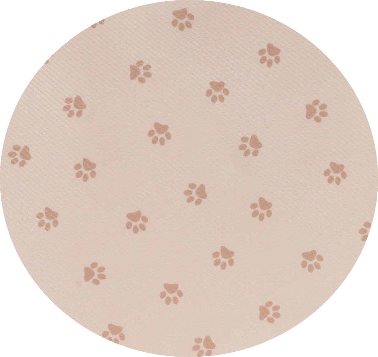 Paws Print