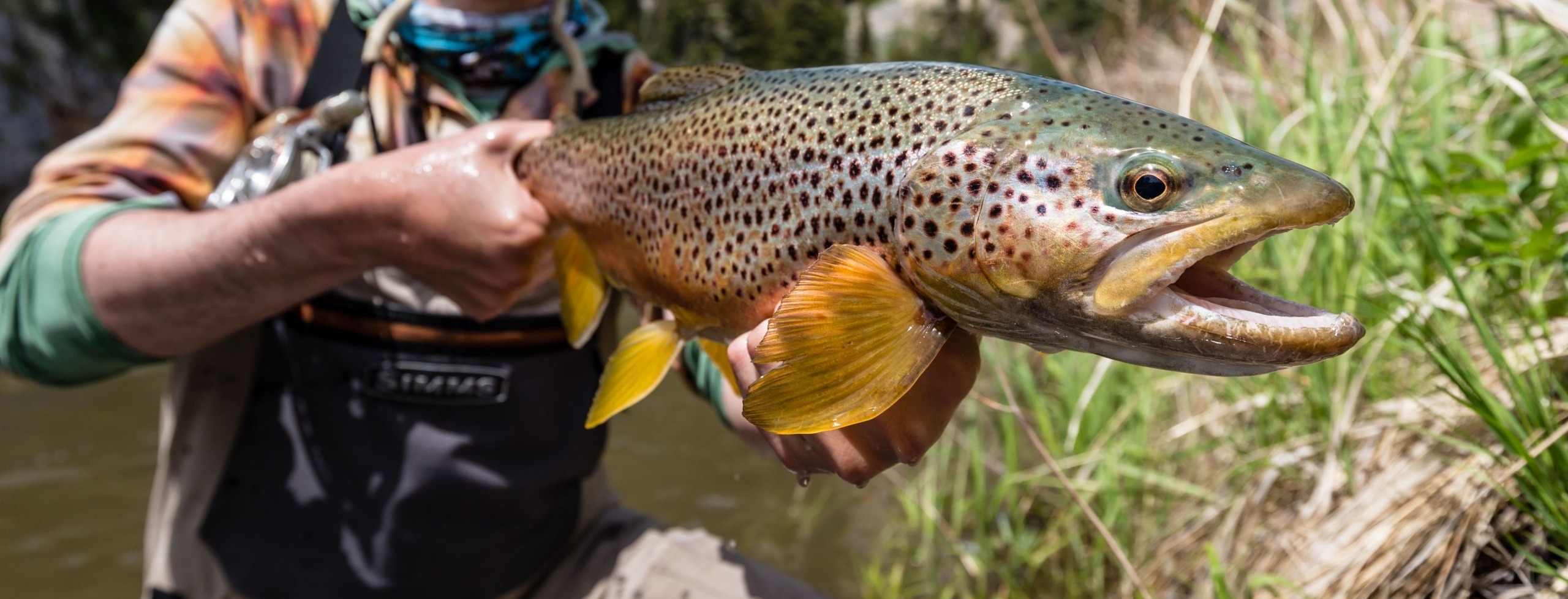 Fly Fishing, Blog, Photos, Podcasts, Travel, Gear