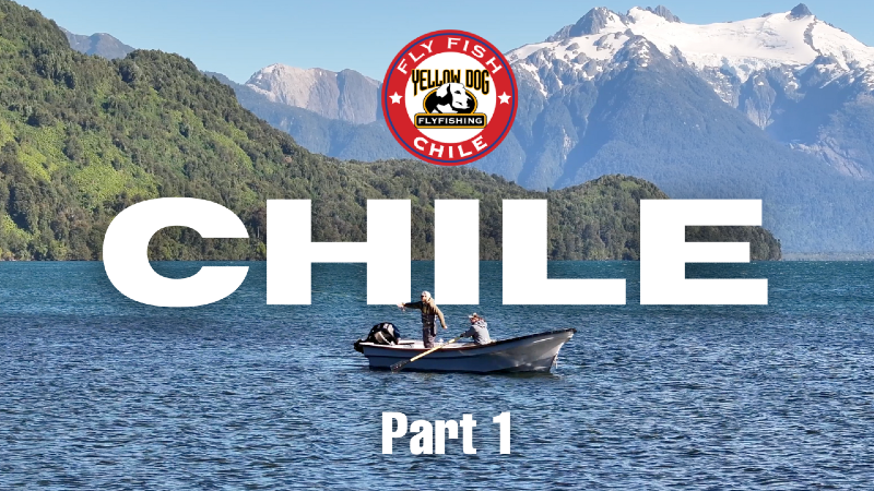 Why You Should Seriously Consider Fly Fishing Chilean Patagonia