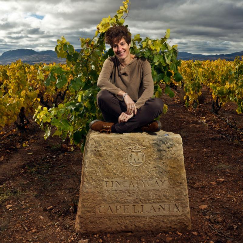 Bodegas Marqúes de Murrieta