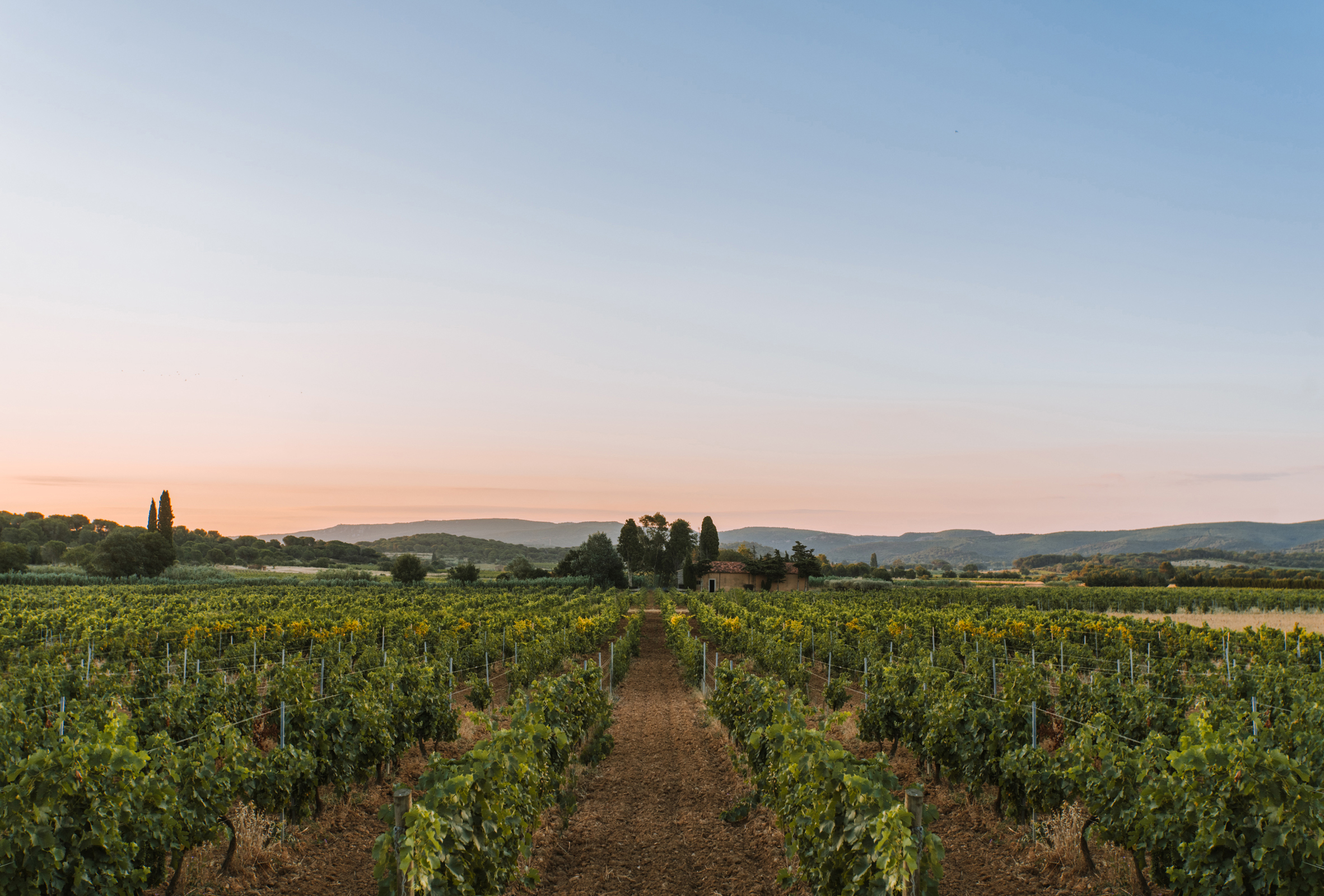 Gérard Bertrand Cigalus Red – O'Briens Wine