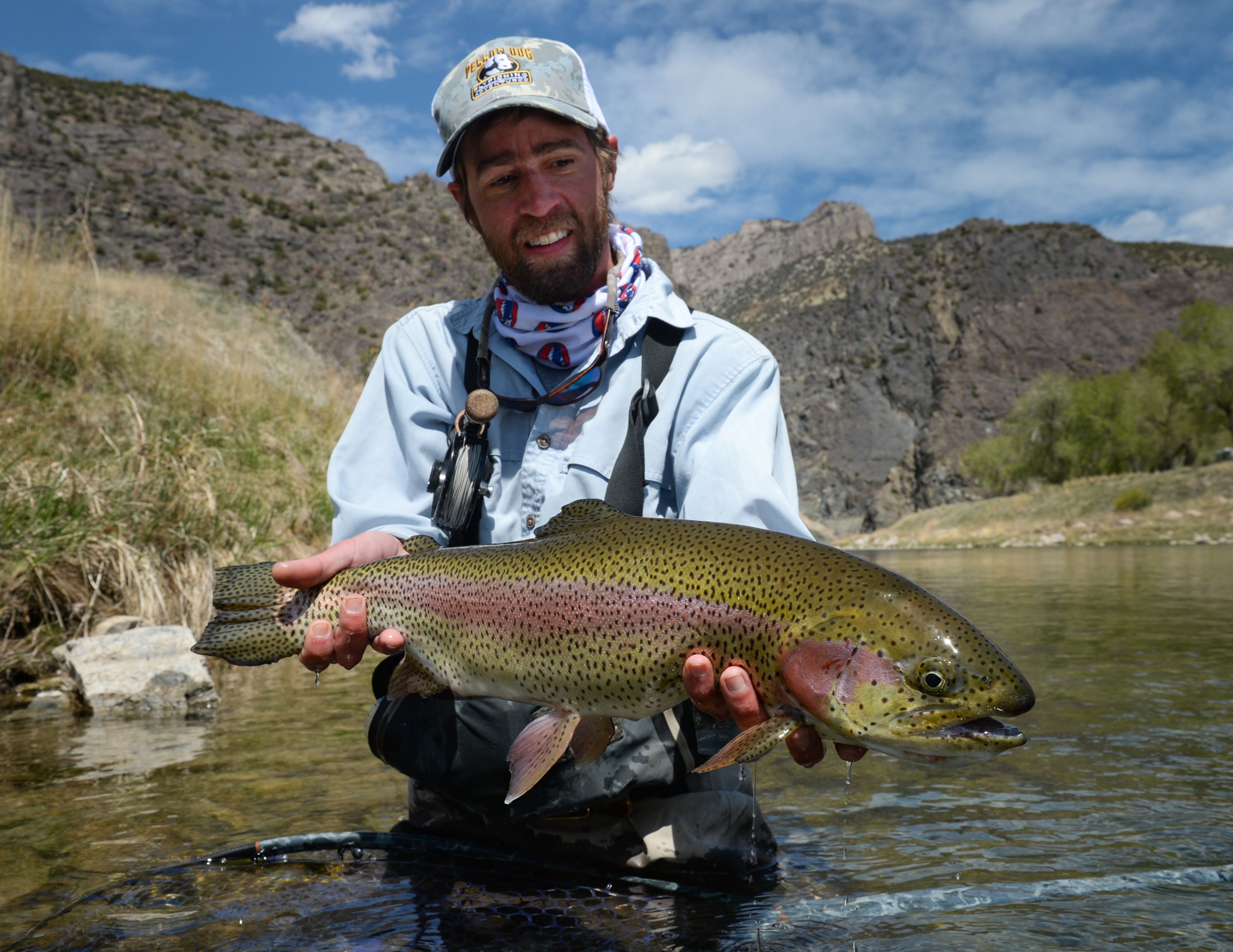 Rainbow Trout Fly Fishing Trip, Lodges & Guides