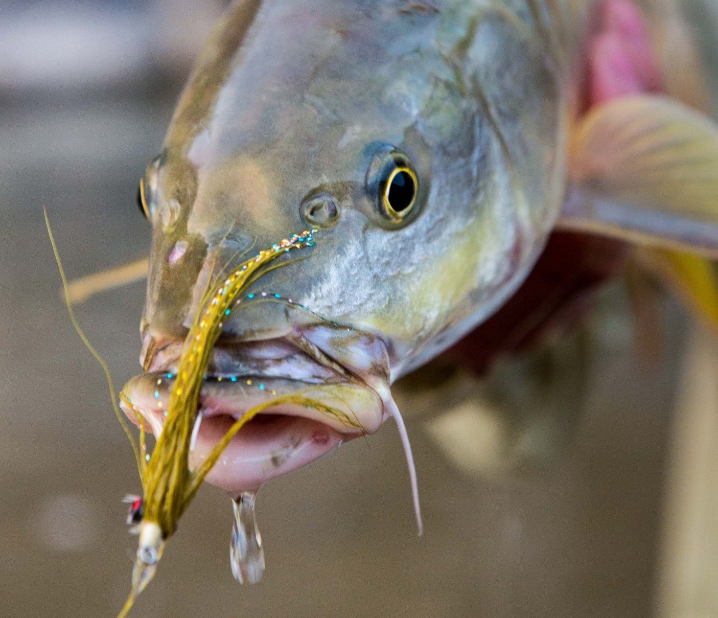 best fishing lure for mahseer PROBEROS Minnow Bass Lures 128mm /Weight Daiwa Seabass Lure Morethan Switch