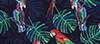 Westport Black Hampton Tropical Embroidered Birds Print Swim Short, Big & Tall - Navy