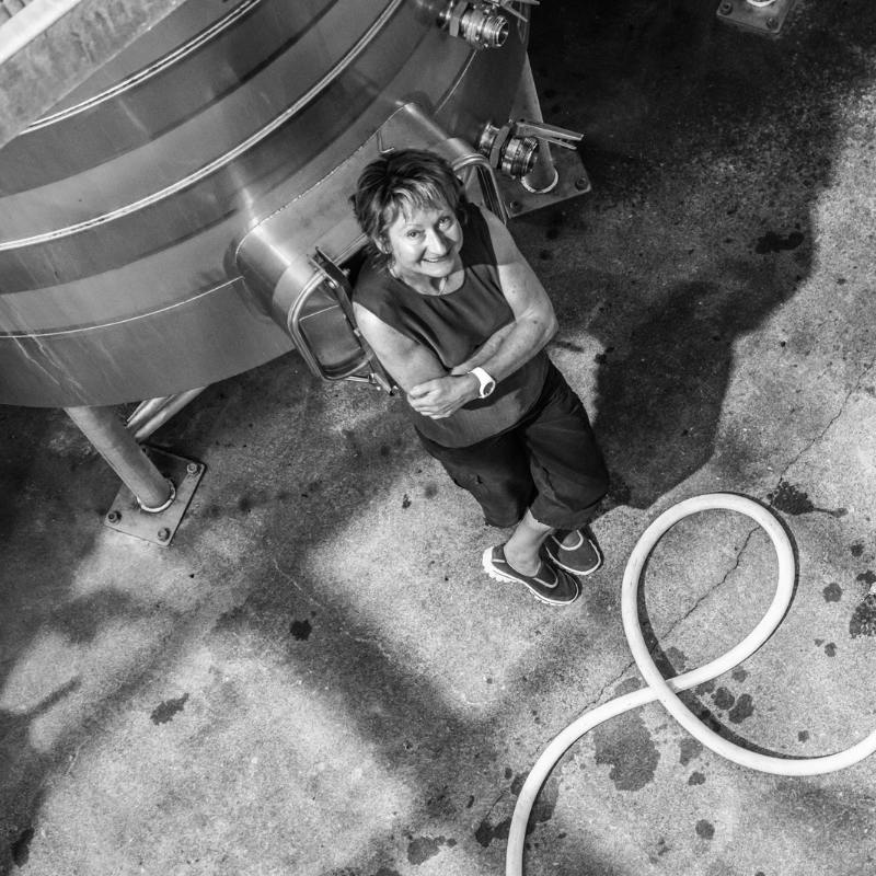 Insight Vineyard
