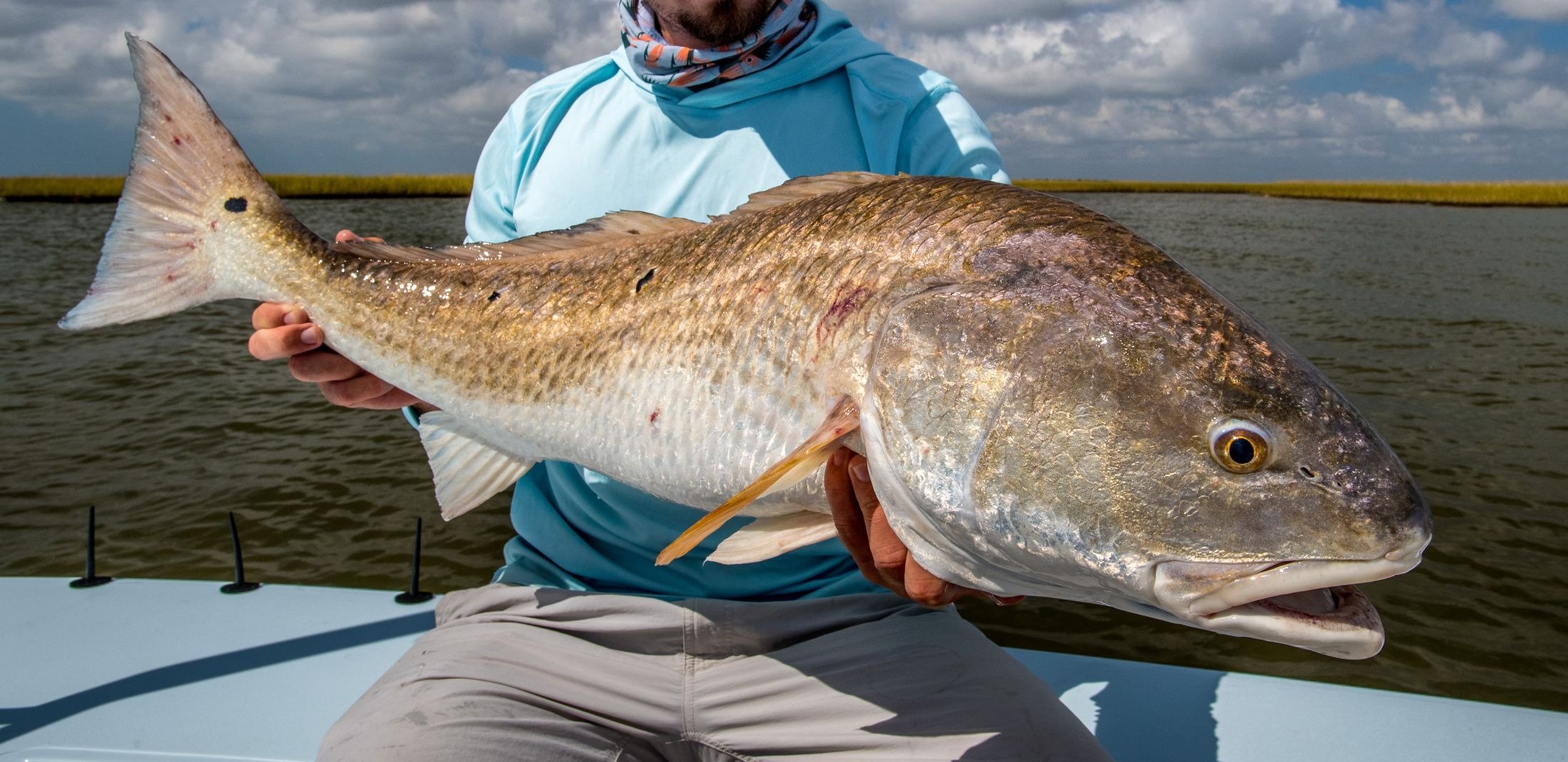 Best Fly Reels for Redfish: Hatch, Nautilus, and More