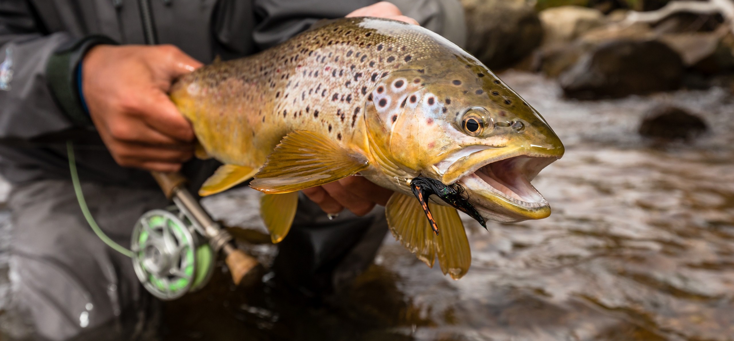 Shop the Best Streamer Fly Rods: Sage, ECHO, and More