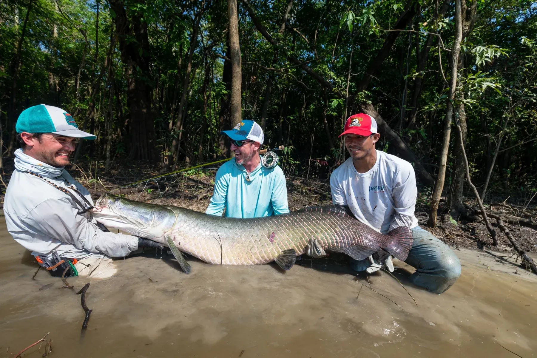 Air Pima Fish Arapaima Flies: Shop a Diverse Selection | Yellow Dog Flyfishing