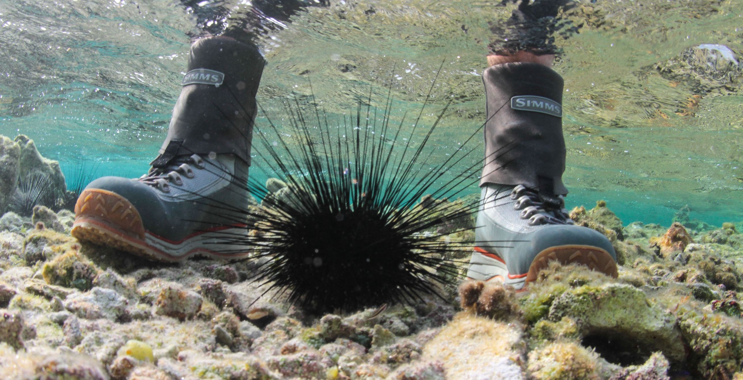 The Best Saltwater Wading Boots - Flylords Mag