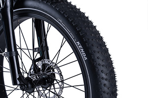 RadRover Electric Fat Bike Version 5key feature 1