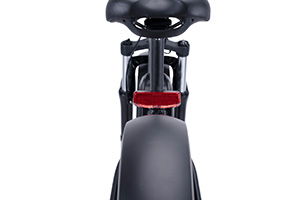 RadRover Electric Fat Bike Version 5key feature 4