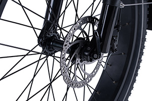 RadRover Electric Fat Bike Version 5key feature 8