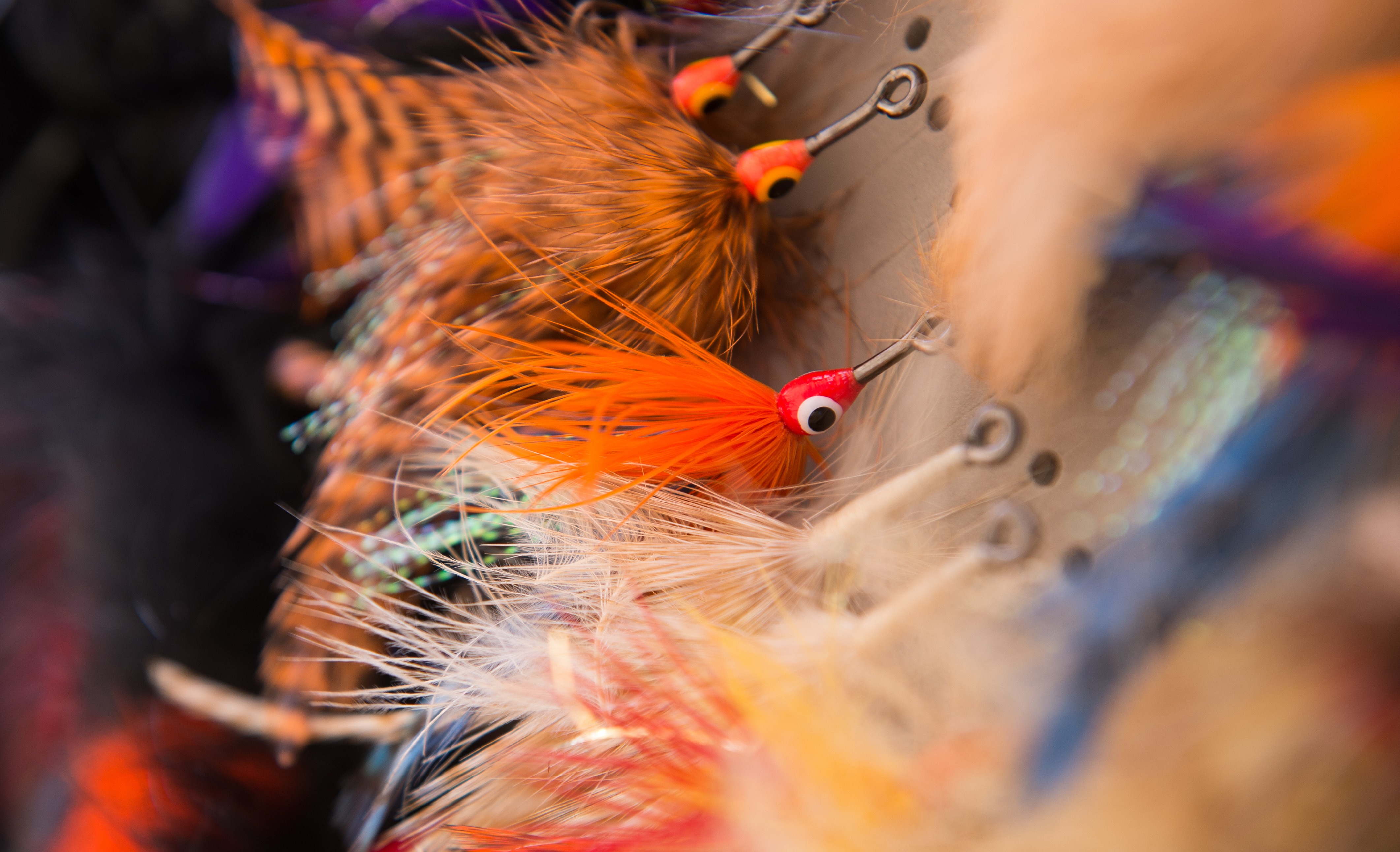 Fly Tying - Hackle