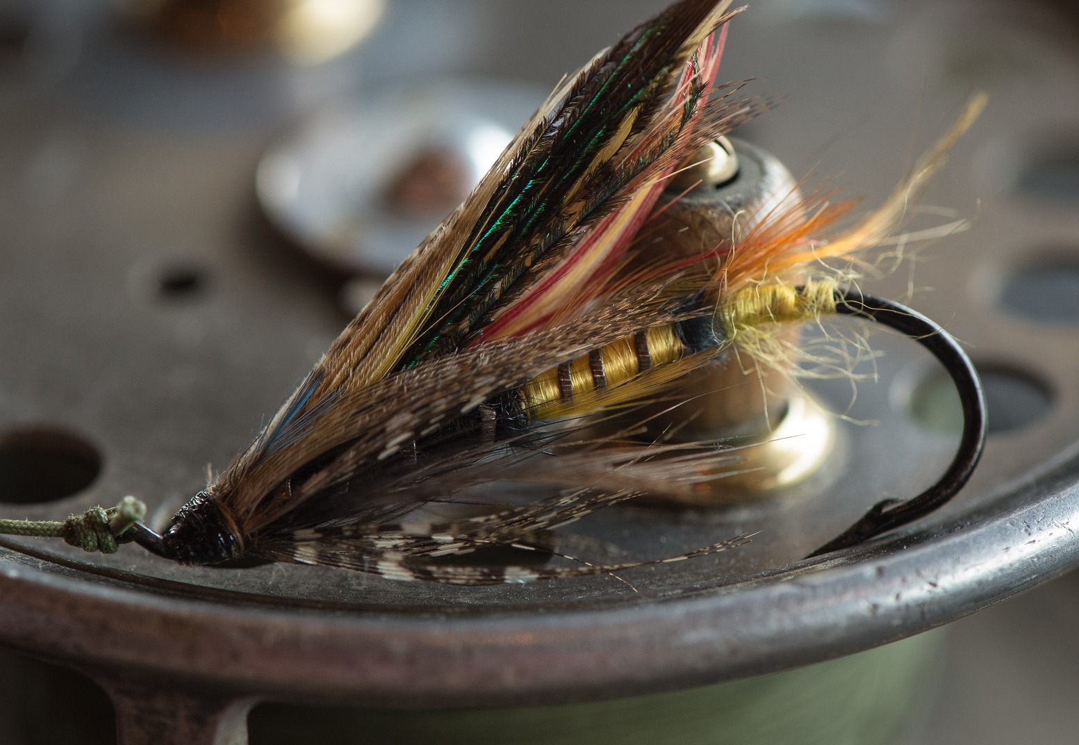 Shop Fly Tying Hooks: Ahrex, Umpqua, and More | Yellow Dog Flyfishing