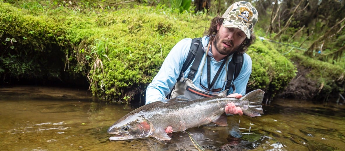 Free Steelhead 101, Learn to Fly Fish for Steelhead