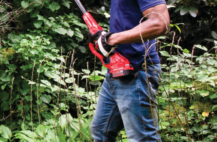 Pole Saws Electric Cordless Corded More CRAFTSMAN CRAFTSMAN