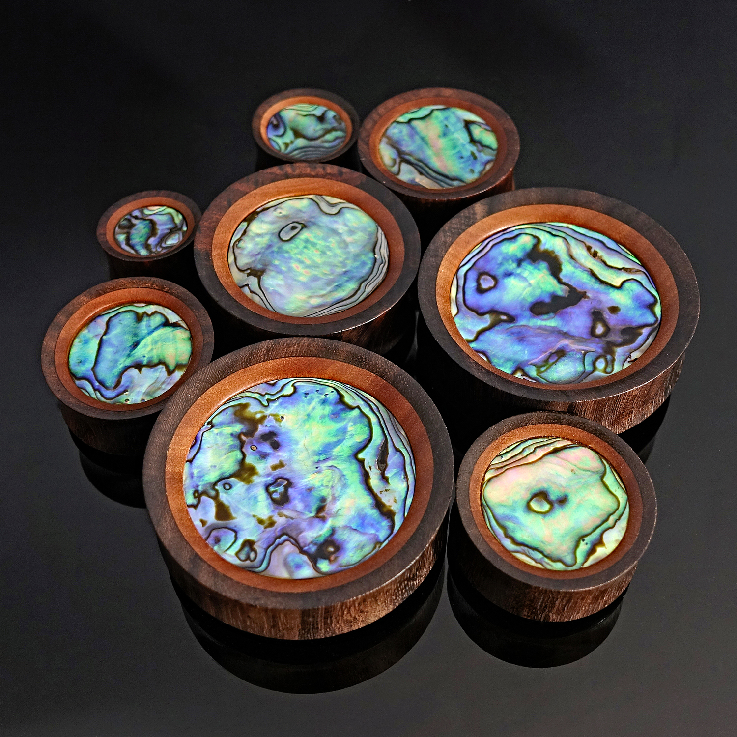  Saba & Abalone Holz Ohr Plug / Gauge