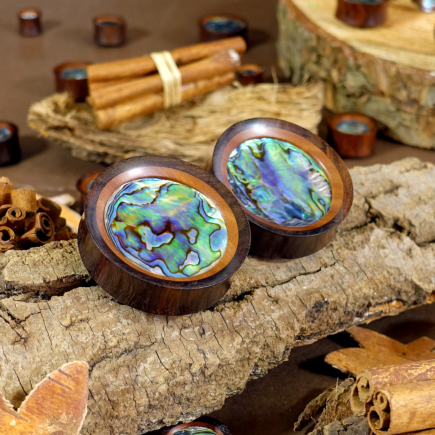  Saba & Abalone Holz Ohr Plug / Gauge