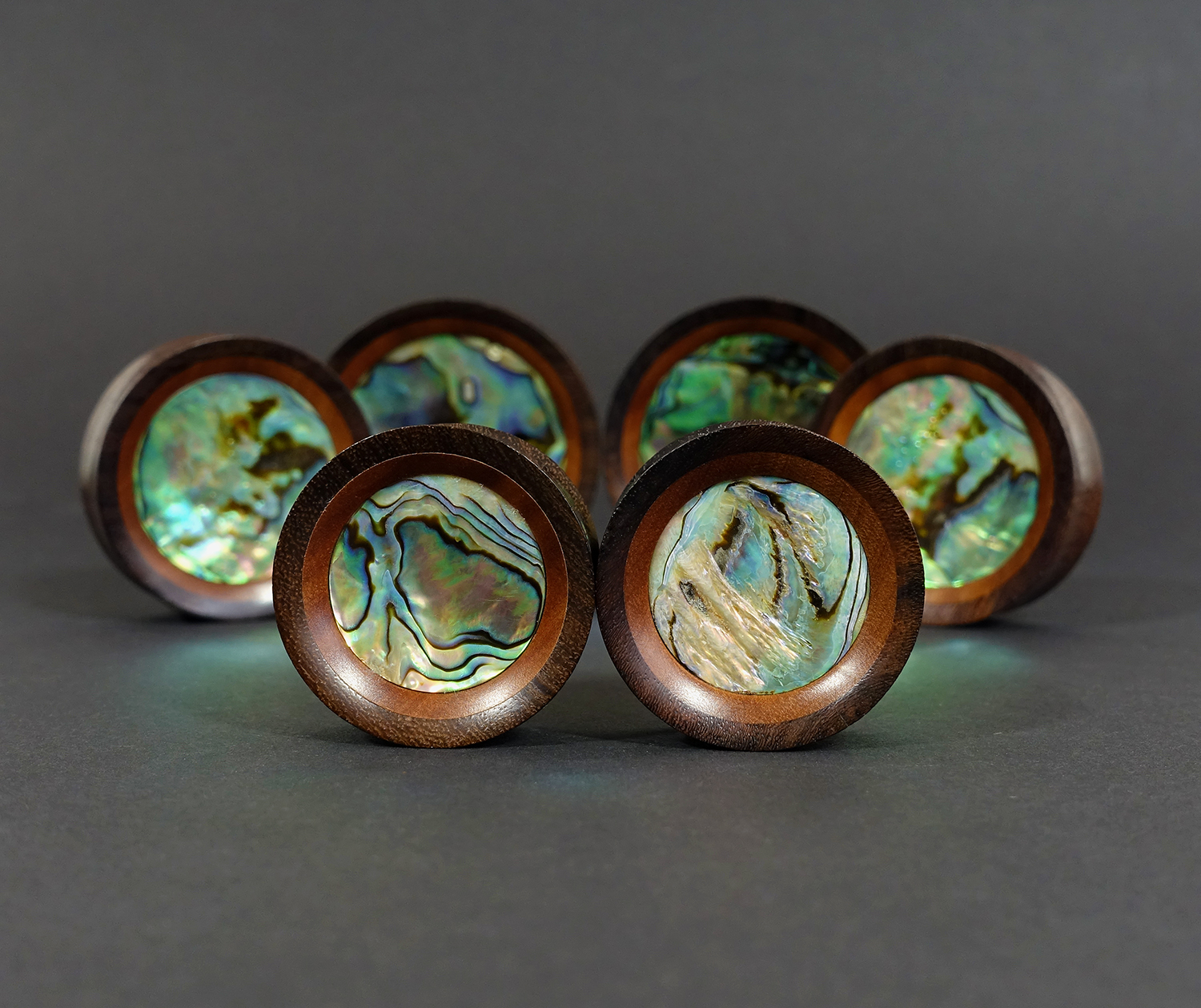  Saba & Abalone Holz Ohr Plug / Gauge