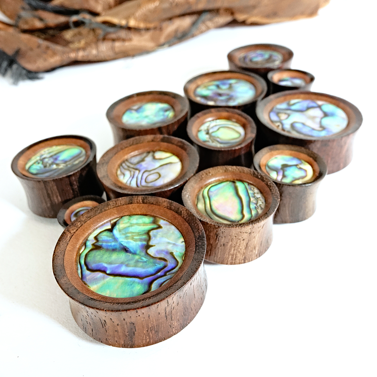  Saba & Abalone Holz Ohr Plug / Gauge