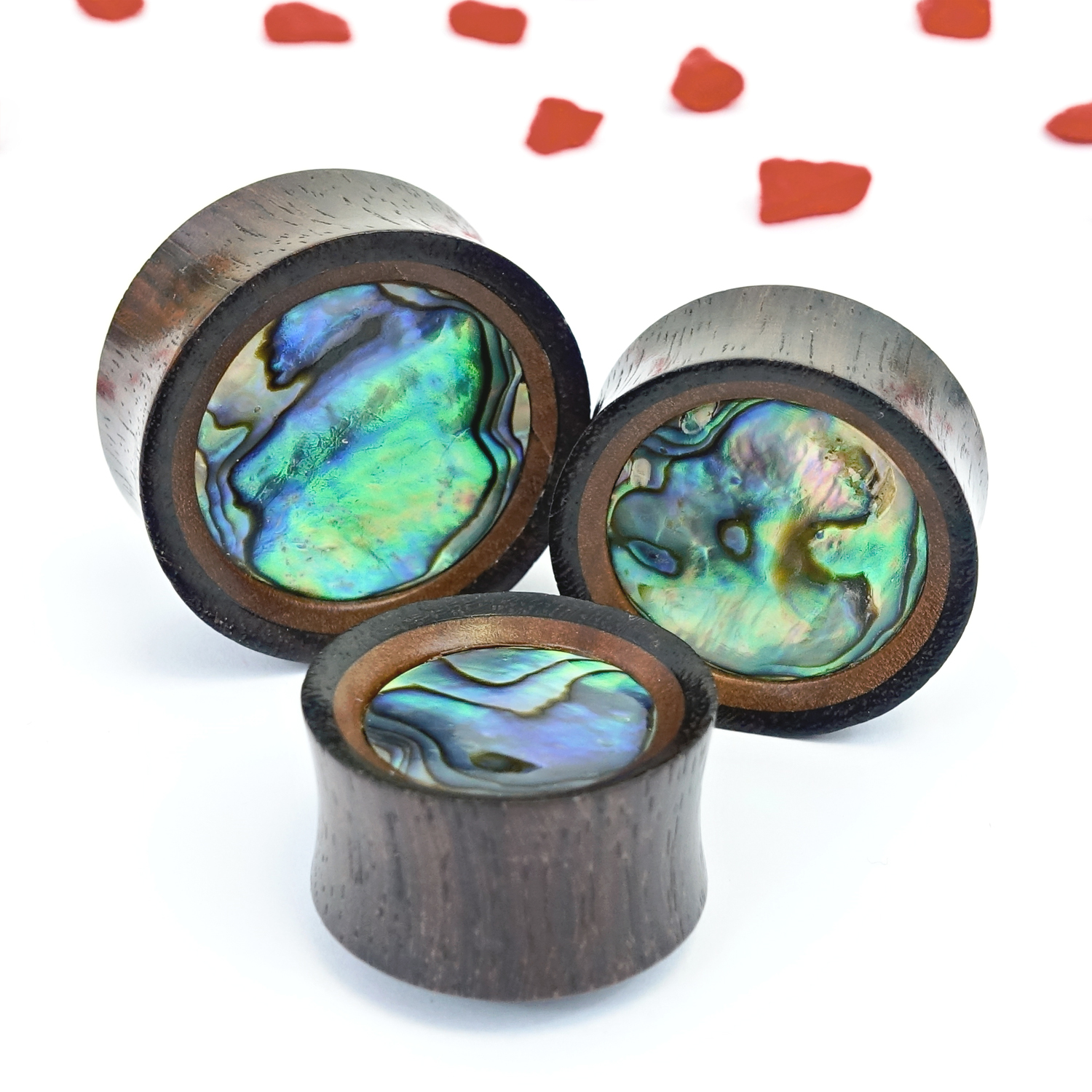  Saba & Abalone Holz Ohr Plug / Gauge