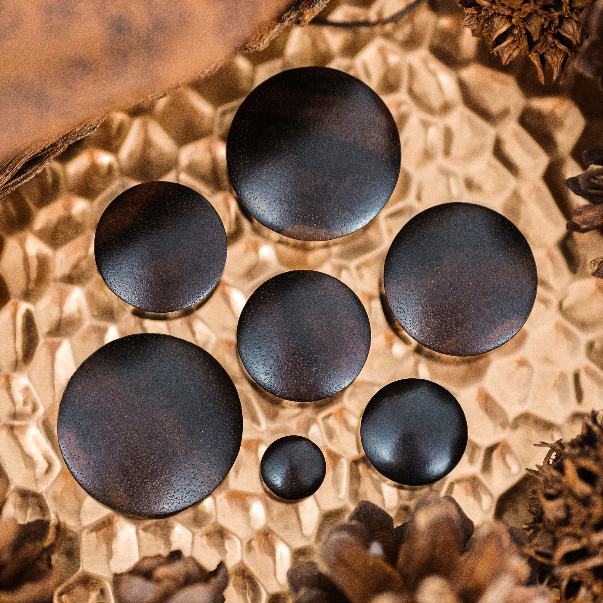 alternative  Black Ebony Convex Wood Ear Plug / Gauge