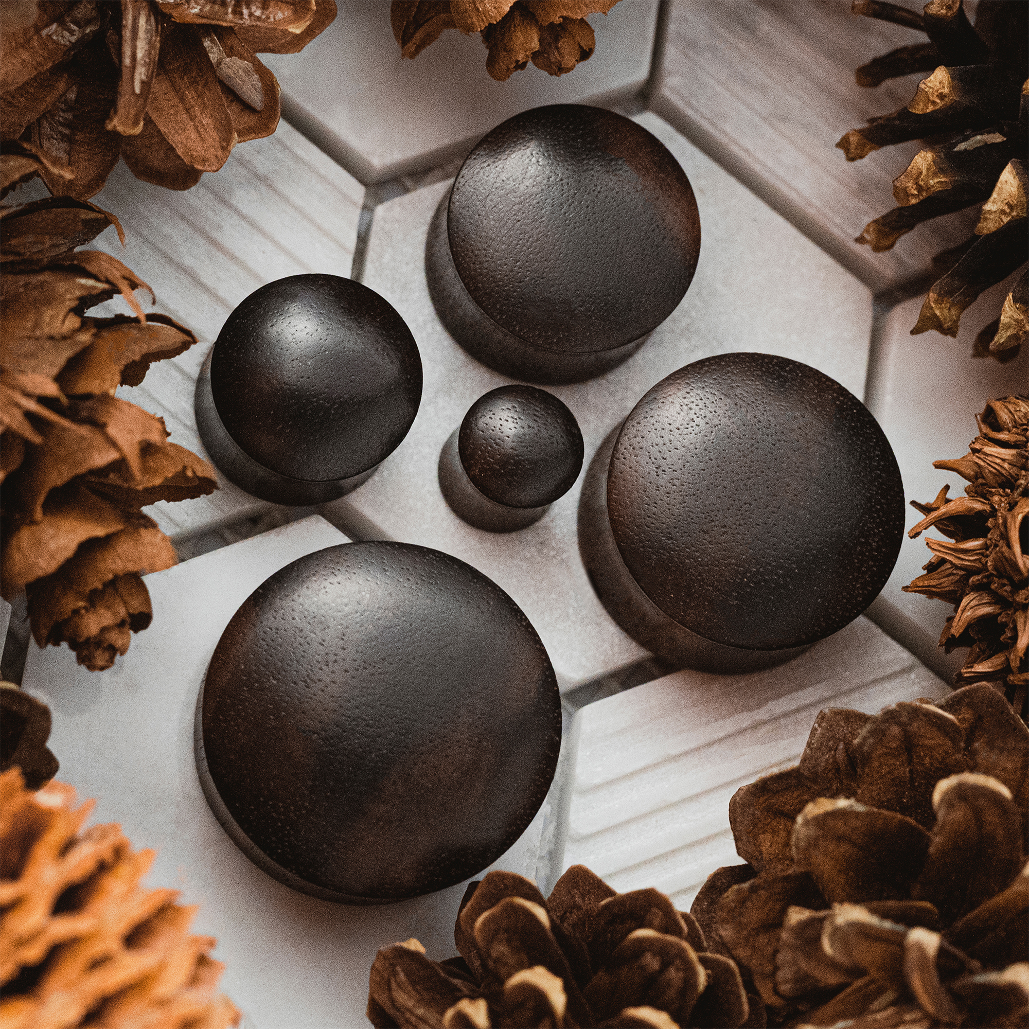 cool   Black Ebony Convex Wood Ear Plug / Gauge