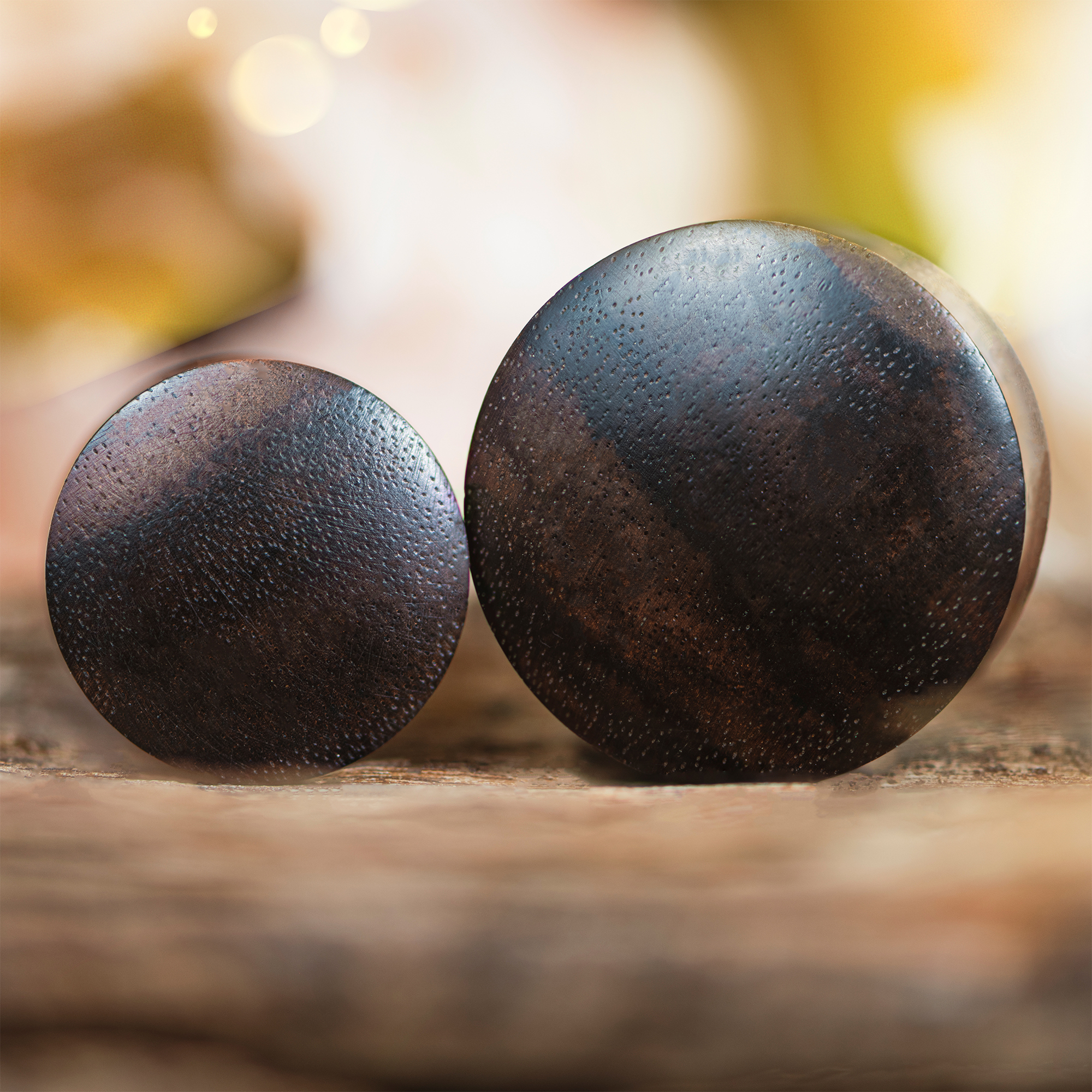 small  Black Ebony Convex Wood Ear Plug / Gauge
