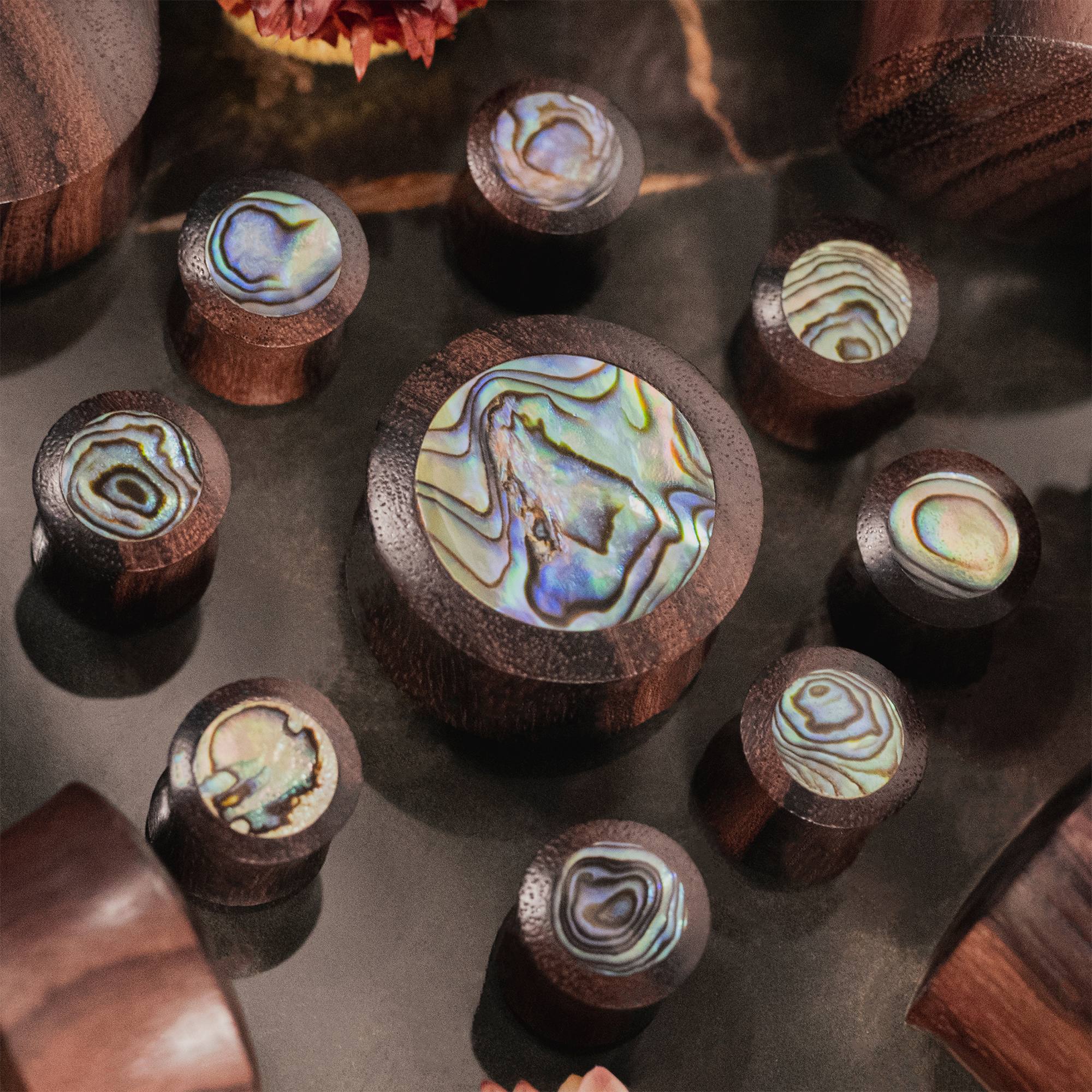  Sono Abalone Holz Ohr Plug / Gauge