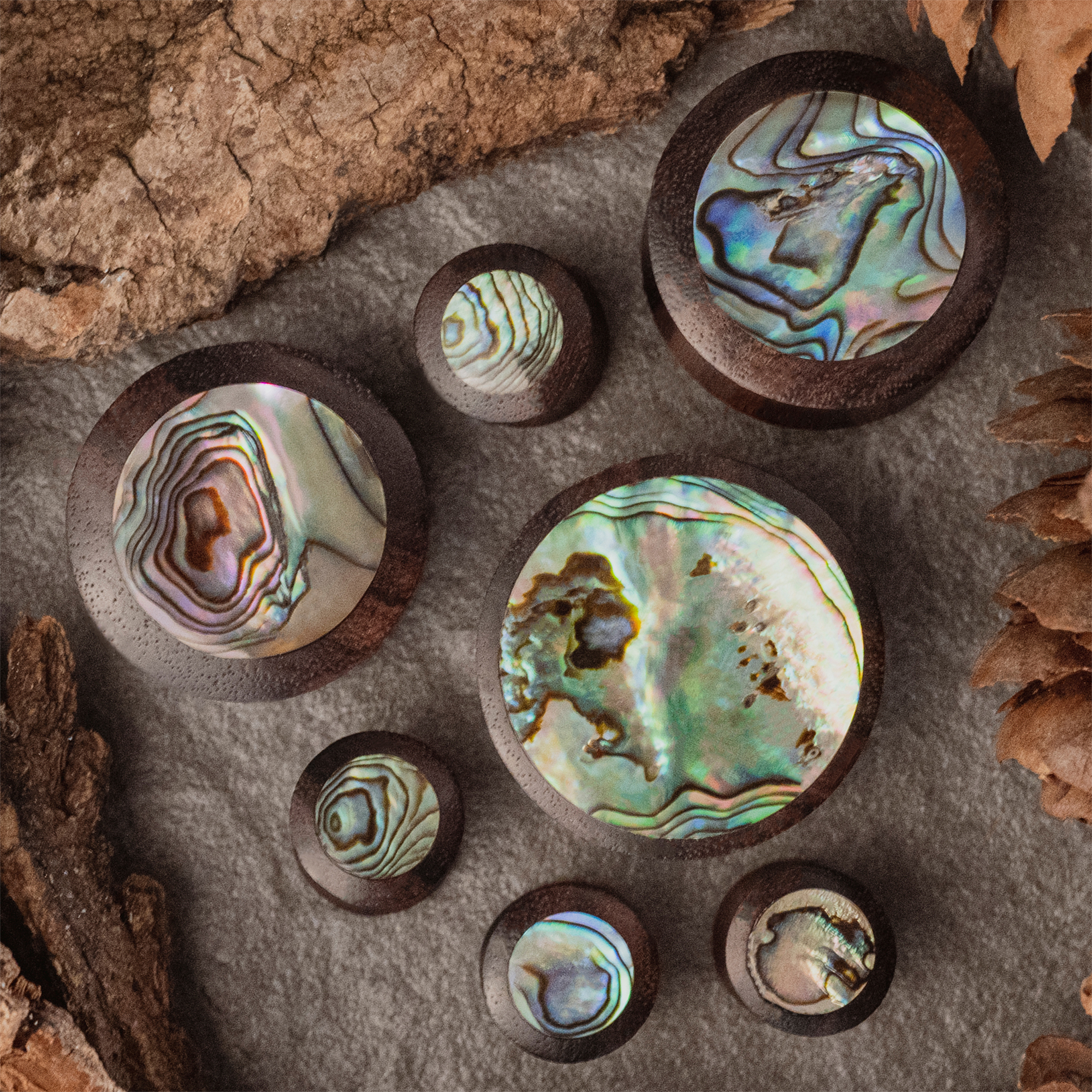  Sono Abalone Holz Ohr Plug / Gauge