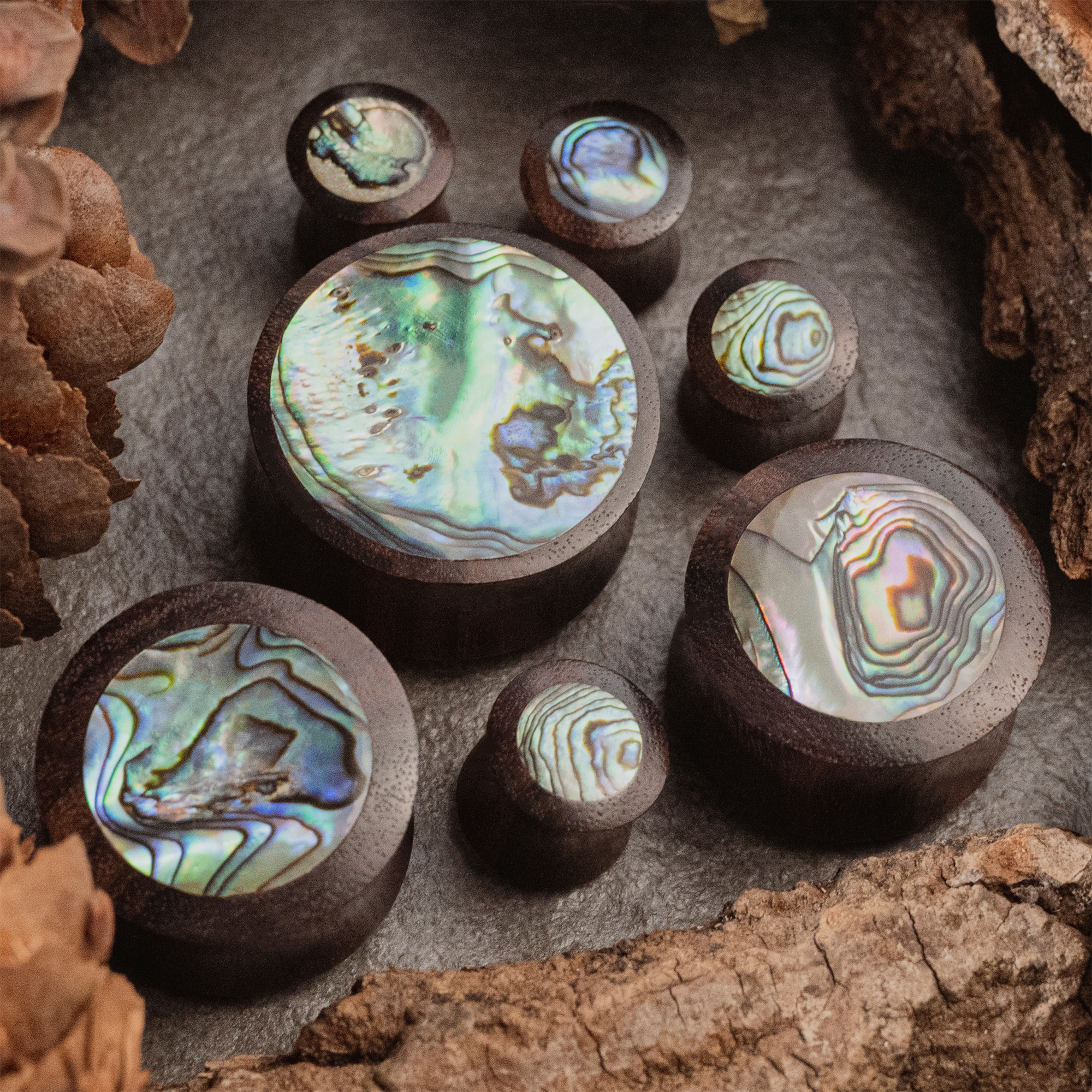  Sono Abalone Holz Ohr Plug / Gauge