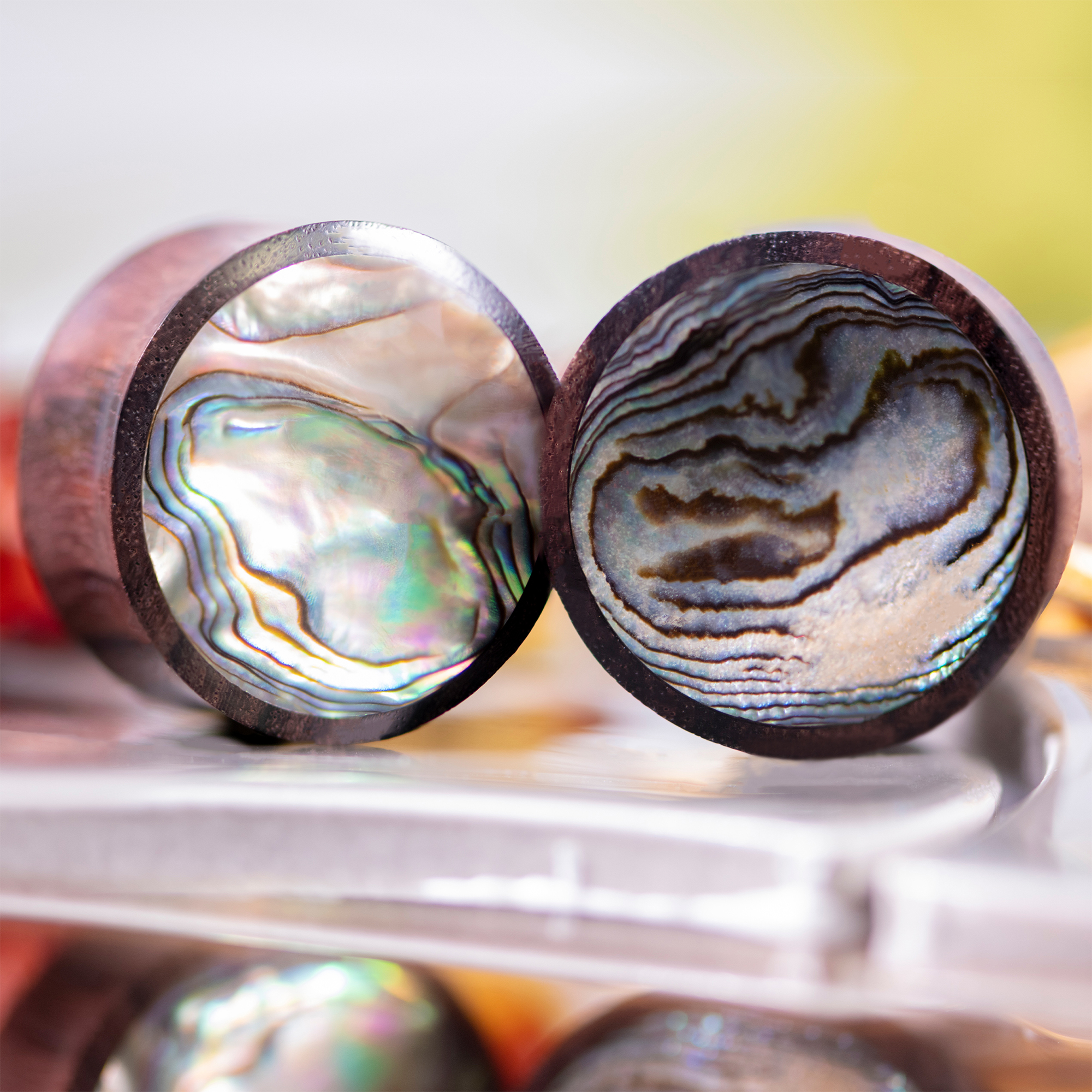  Sono Abalone Holz Ohr Plug / Gauge