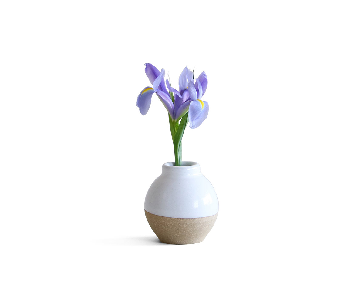 bud-vase-short