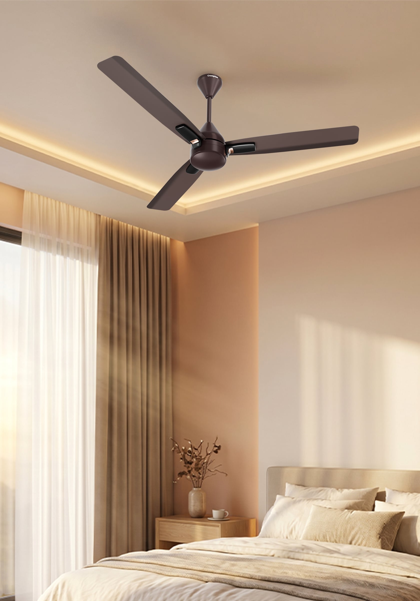 Ceiling Fans