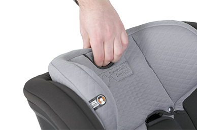 adjustable headrest and harness