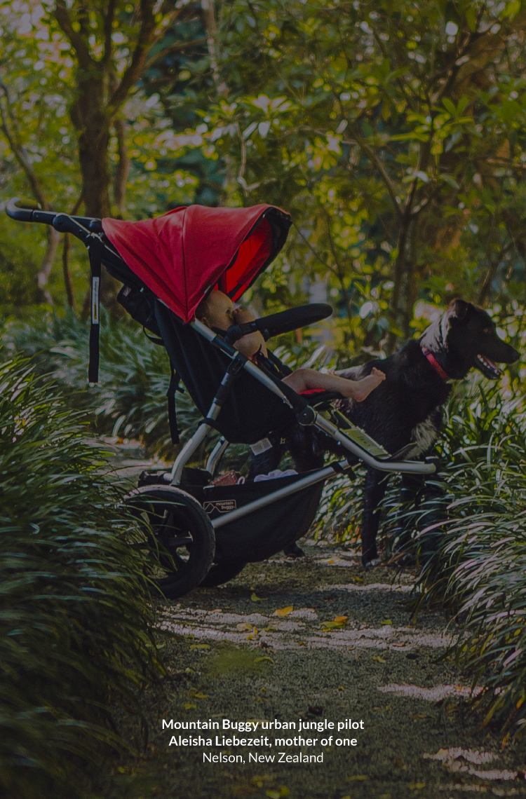 mountain buggy urban jungle nz